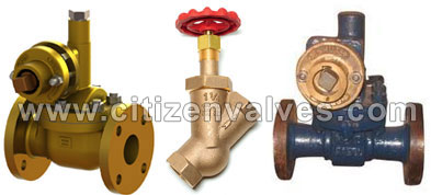 Brass Blowdown Valves Suppliers Dealers Distributors in India