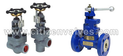 Carbon Steel Blowdown Valves Suppliers Dealers Distributors in India