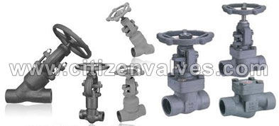 Stainless Steel Forged Valves Suppliers Dealers Distributors in India