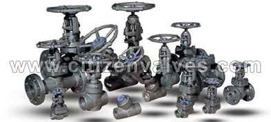 904l Stainless Steel Industrial Forged Valves Suppliers Dealers Distributors in India