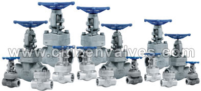 Alloy Steel Forged Valves Suppliers Dealers Distributors in India