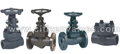 Carbon Steel Forged Valves Suppliers Dealers Distributors in India