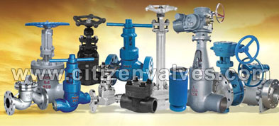 Hastelloy Forged Valves Suppliers Dealers Distributors in India