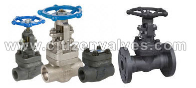 254 Smo Forged Valves Suppliers Dealers Distributors in India