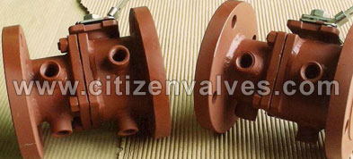 Copper Nuclear Valve Suppliers Dealers Distributors in India