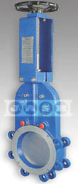 Knife Gate Valve – Version Mono-C