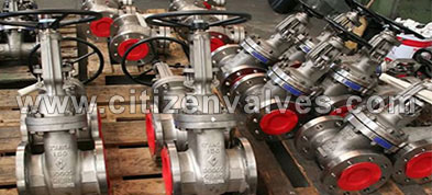 Stainless Steel SS SMO 254 Valves Suppliers Dealers Distributors in India