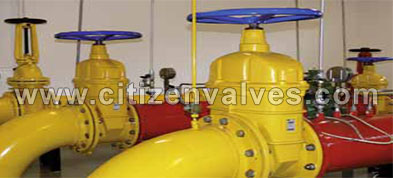 Gate Check Globe Valve Manufacturer Suppliers Dealers Distributors in India