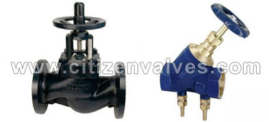 Duplex Steel UNS S31803 Valves Suppliers Dealers Distributors in India