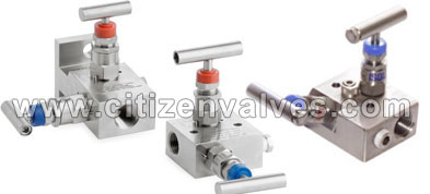 Duplex Steel Manifold Valve Suppliers Dealers Distributors in India