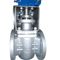 ASTM A351 CF8 Sleeved Plug Valve, DN150, PN20