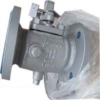 PTFE Sleeved Plug Valve, Steam Jacketed, WCB