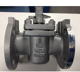 Reduced Port Plug Valve, Pressure DN20, PN50, A351 CF8 Plug