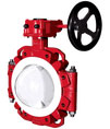 P.T.F.E. / Rubber / P.P. Lined Valves