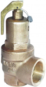 542 Nabic Safety Relief Valve