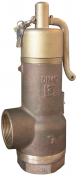 707 Series Bailey Birkett Safety Relief Valve