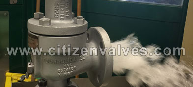 Stainless Steel Safety Relief Valves Suppliers Dealers Distributors in India