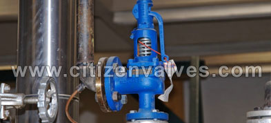 Hastelloy Safety Relief Valves Suppliers Dealers Distributors in India