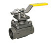 Apollo Stainless Steel Ball Valve Dealers in India, Top Entry - SS Socket Weld Series